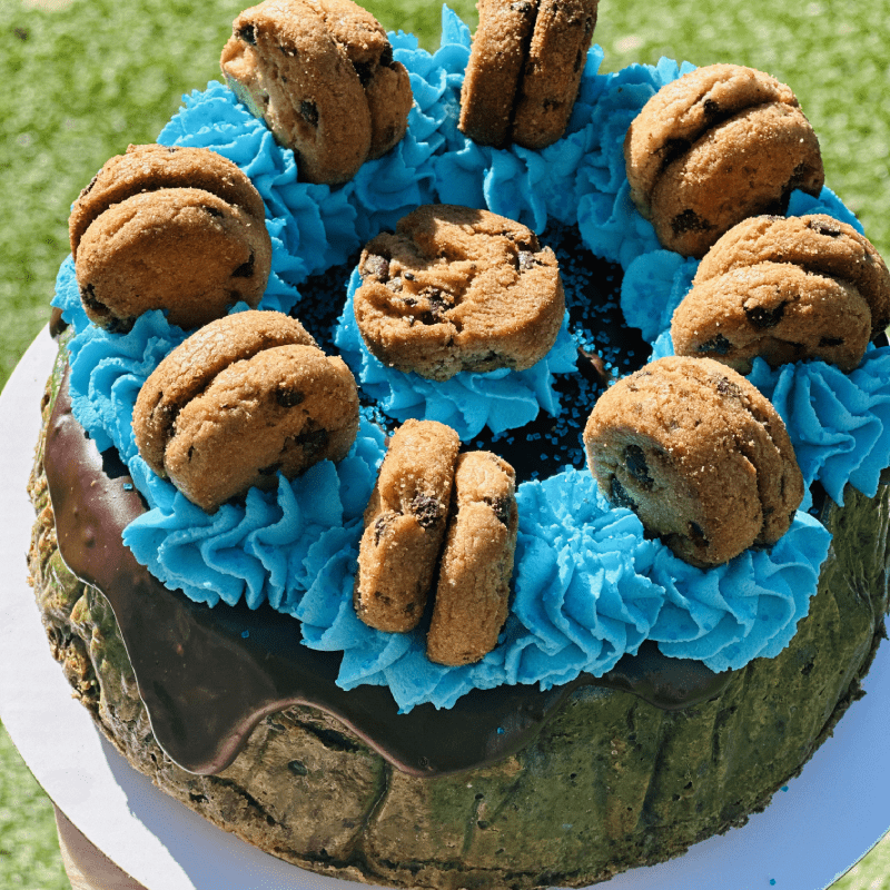 cake-06 (1)